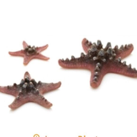 BiOrb Pink Sea Star Set! - Picture 1 of 3